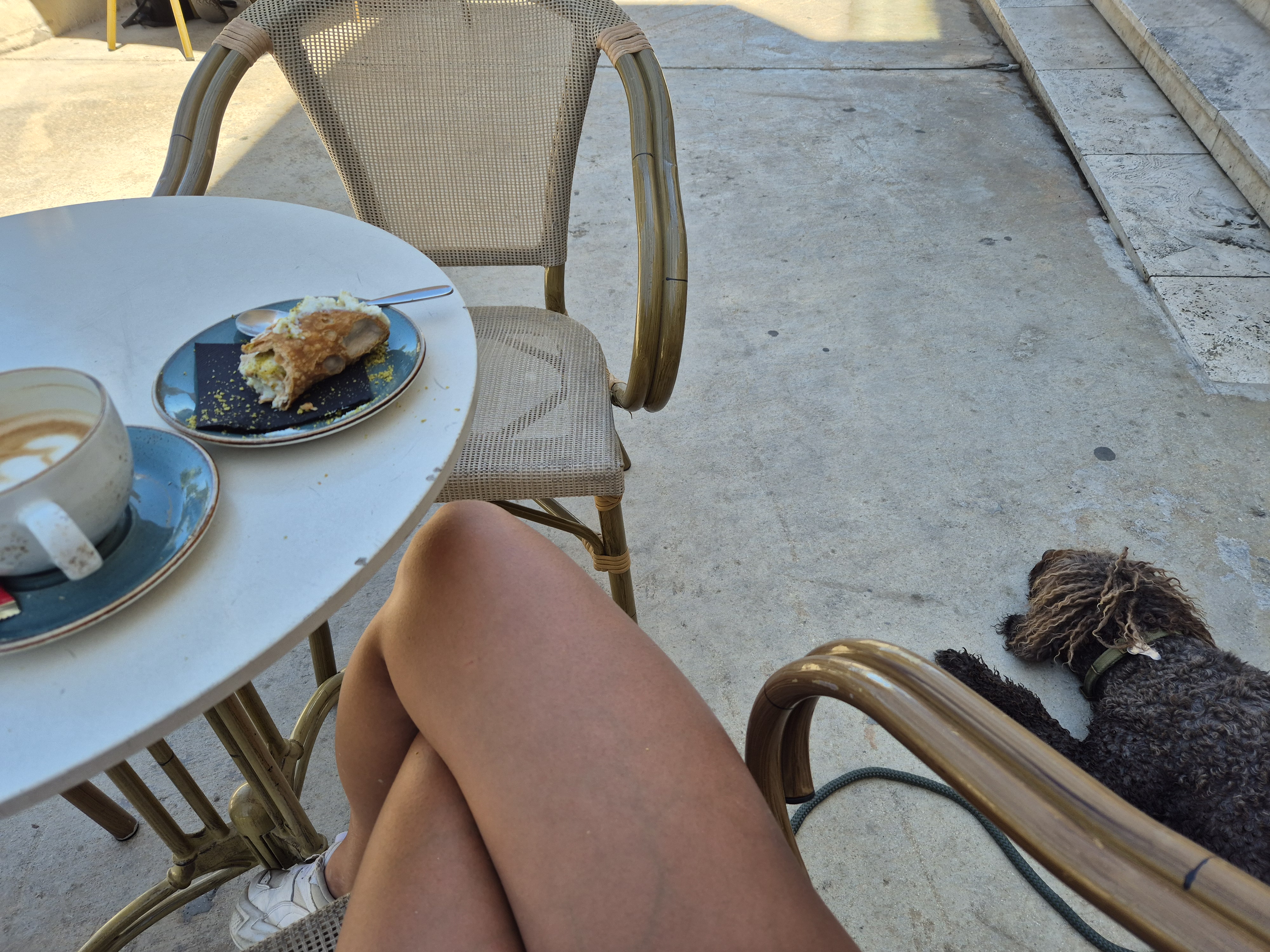 Morning coffee with my dog